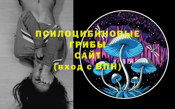 ГАЛЛЮЦИНОГЕННЫЕ ГРИБЫ Алзамай