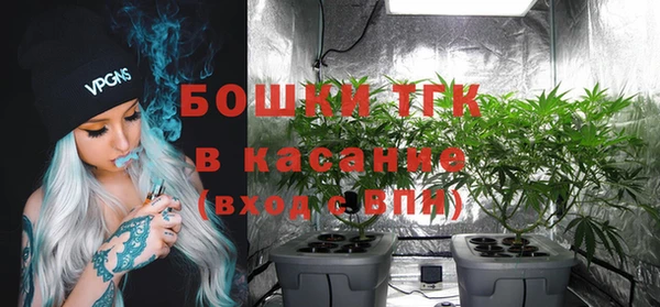 дурь Алексин