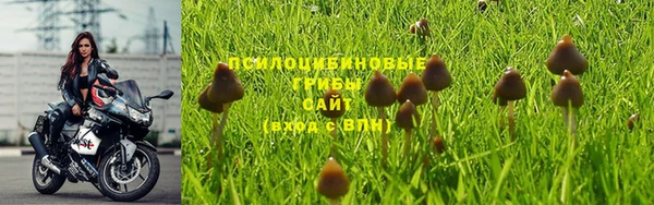 кокс Алексеевка