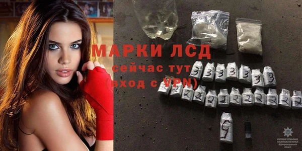 ГАЛЛЮЦИНОГЕННЫЕ ГРИБЫ Алзамай