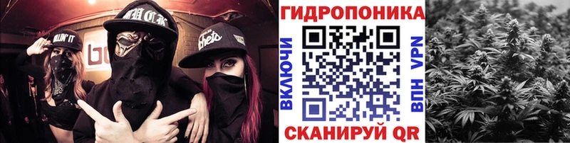 дарнет шоп  Красноармейск  Бошки марихуана гибрид 